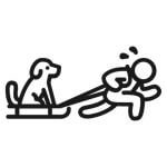 Person pulling a dog on a sled.
