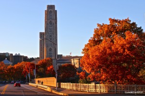 Schenley Park Bridge and the University of Pittsburgh campus.