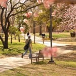 Student runnng inside University of Dallas campus surrounded with pink flower trees.