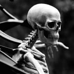 A black and white photo of a skeleton.