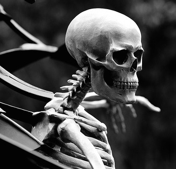 A black and white photo of a skeleton.