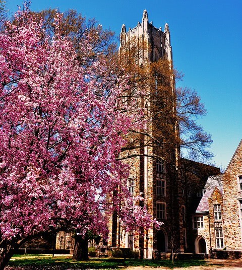 Rhodes College - Best Colleges in the Southeast