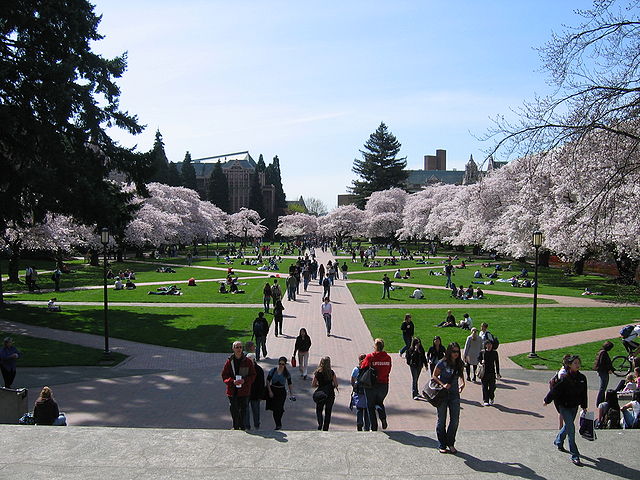 Students walking and sitting at the University of Washington-Seattle quad.