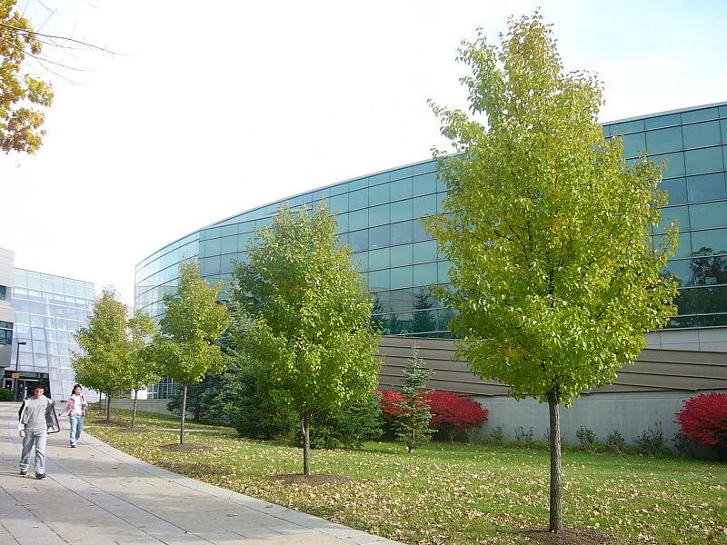 SUNY at Binghamton - Best Public Colleges