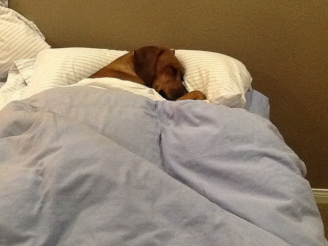 Test prep tips - get a good night's sleep