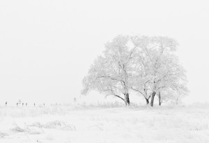 in an academic setting, the color white can be used to enhance clarity, simplicity, and space.