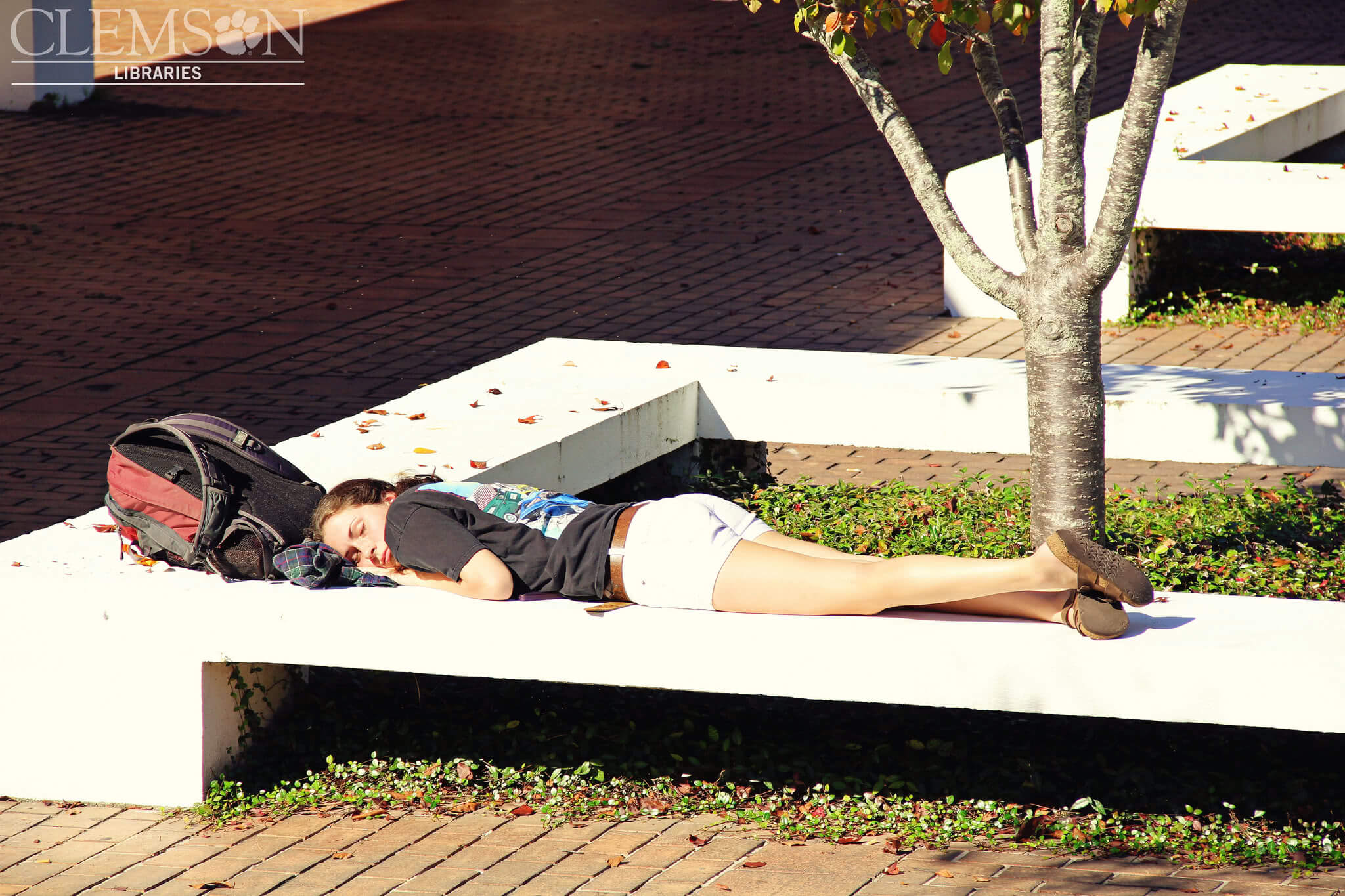 Naps can improve your memory