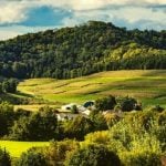 Rolling green and yellow hills in Wisconsin.