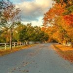 A road with autumn trees on either side of it.