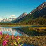 Chugach National Forest in Alaska.