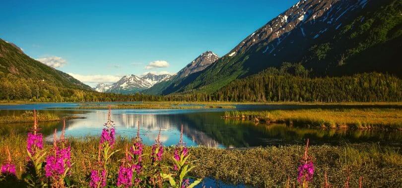 Chugach National Forest in Alaska.