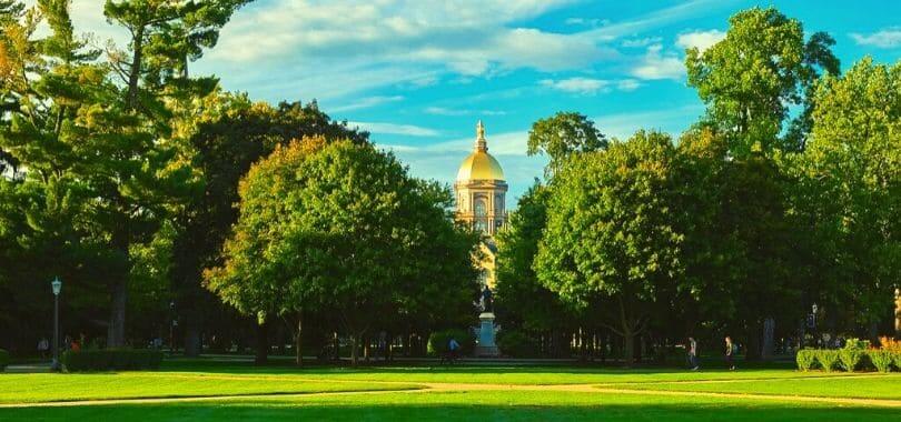 Johns Hopkins University behind trees and a grassy field.