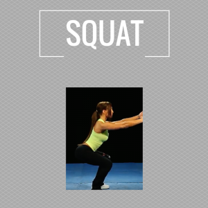 Exercises - squat