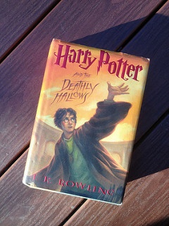 Harry Potter: Harry Potter's interest in being an Auror, so it makes sense that he would be in a homeland security program.