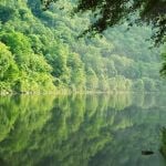 The Delaware River with trees on either side of it.