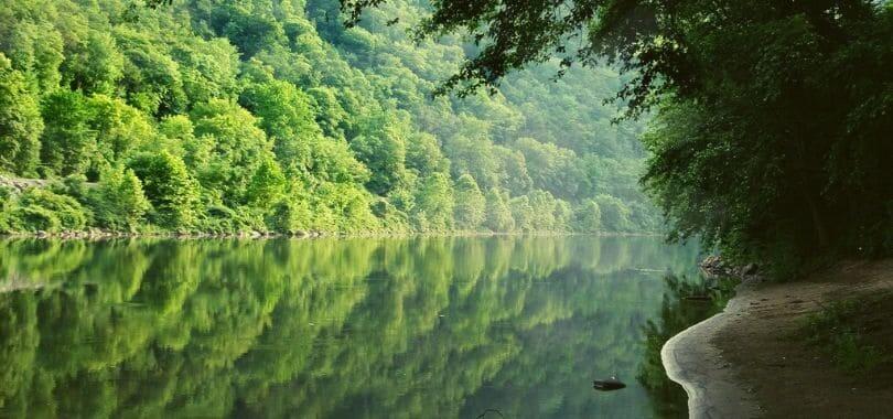 The Delaware River with trees on either side of it.