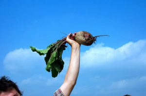 Sustainable food on college campuses