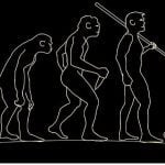 An illustration of the evolution of man.