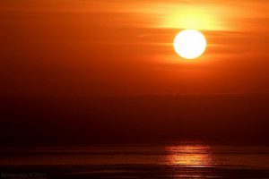 The Sun Grant brings together top science, agriculture, and engineering technologies at the institutions