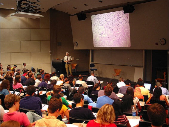 Does class size matter?