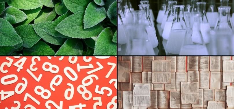 Four pictures representing college majors: leaves, science beakers, books, and numbers.