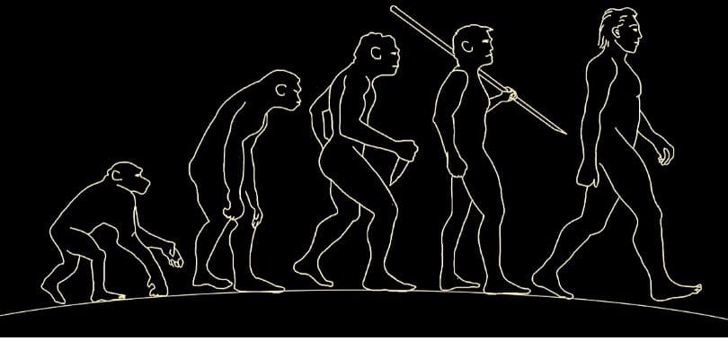 An illustration of the evolution of man.