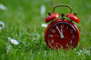 There are pros and cons of applying early decision or early action
