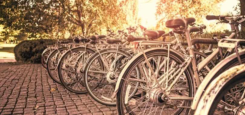 Bikes on a college campus