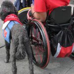 ADA service animals are allowed on college campuses.