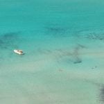 A overhead shot of the sea with a small white ship floating in it.