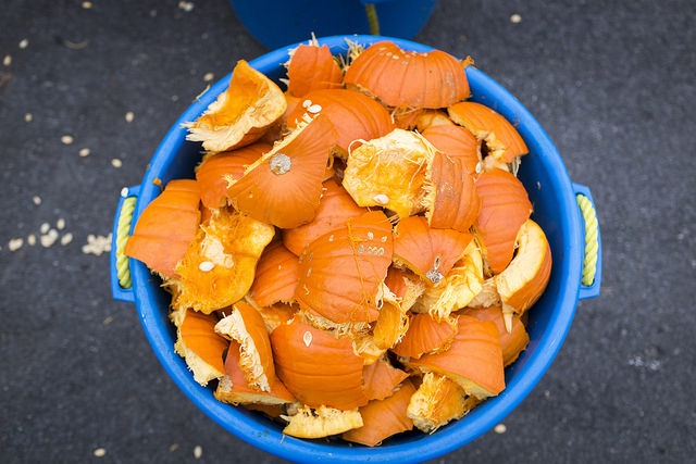 One of MIT's Halloween traditions is the pumpkin drop.
