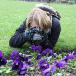 Student taking pictures of violet flowers on the ground.