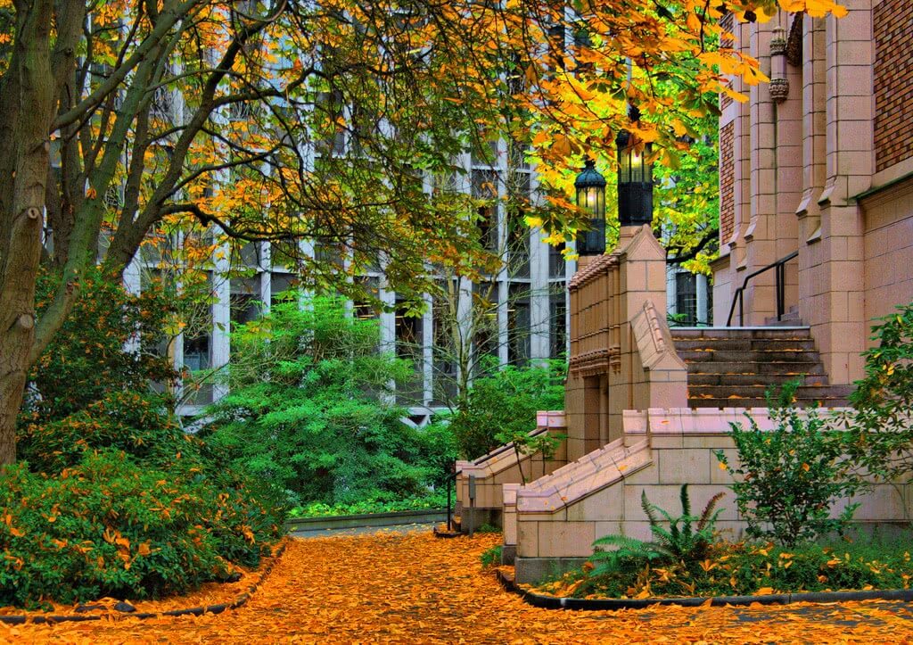 Most Beautiful College Campuses in Autumn College RaptorCollege Raptor