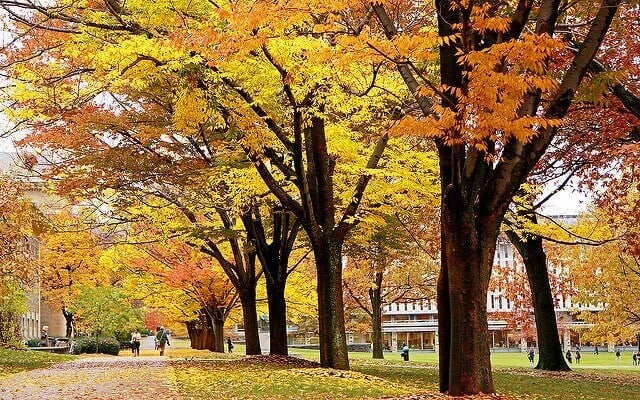 Most Beautiful College Campuses in Autumn - College RaptorCollege Raptor