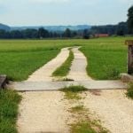 A rural pathway in the middle of a field.