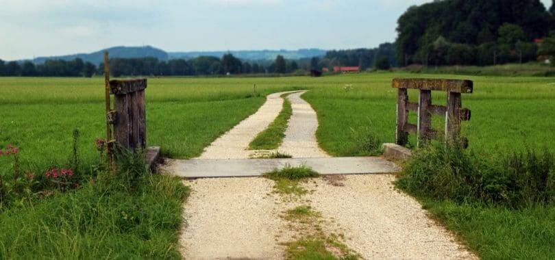 A rural pathway in the middle of a field.