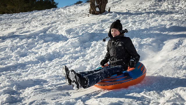 Here are some things to do in winter.