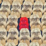 A red gummy bear among clear gummy bears.