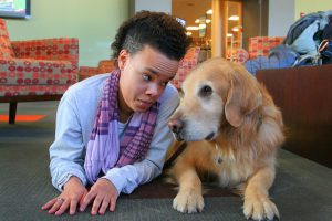 playing with a golden retriever