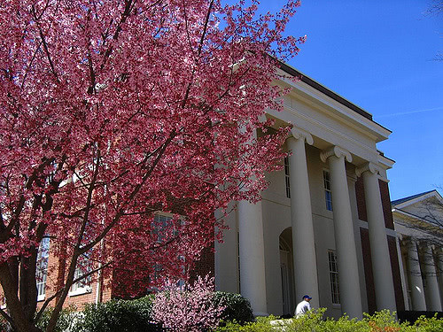 Spring admission isn't as common as fall admission, but is still widely available.