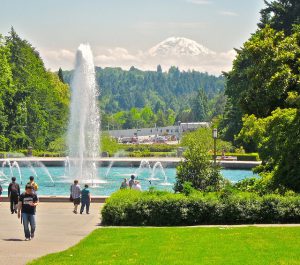 If you want a cultural experience outside of yours, here are a few great colleges to go to