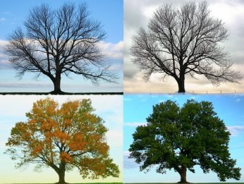 When's the best time to visit a college, summer, spring, winter, or fall?