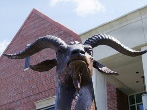 Mascots - Worcester Polytechnic Institute – Gompei the Goat