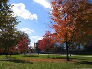Autumn trees inside Lafayette College campus.
