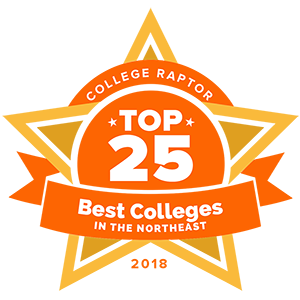 A gold star badge that says 