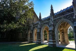 What are hidden ivies?