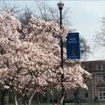 SUNY New Paltz school building behind the pink flower tree.