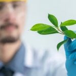 A scientist holding a plant in their hand.