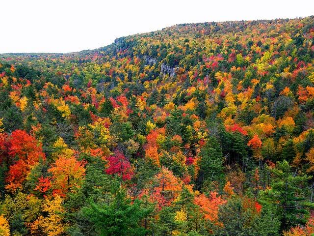 here's why I chose my college