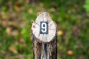 Federal consolidation loans can be a huge relief to students with loans